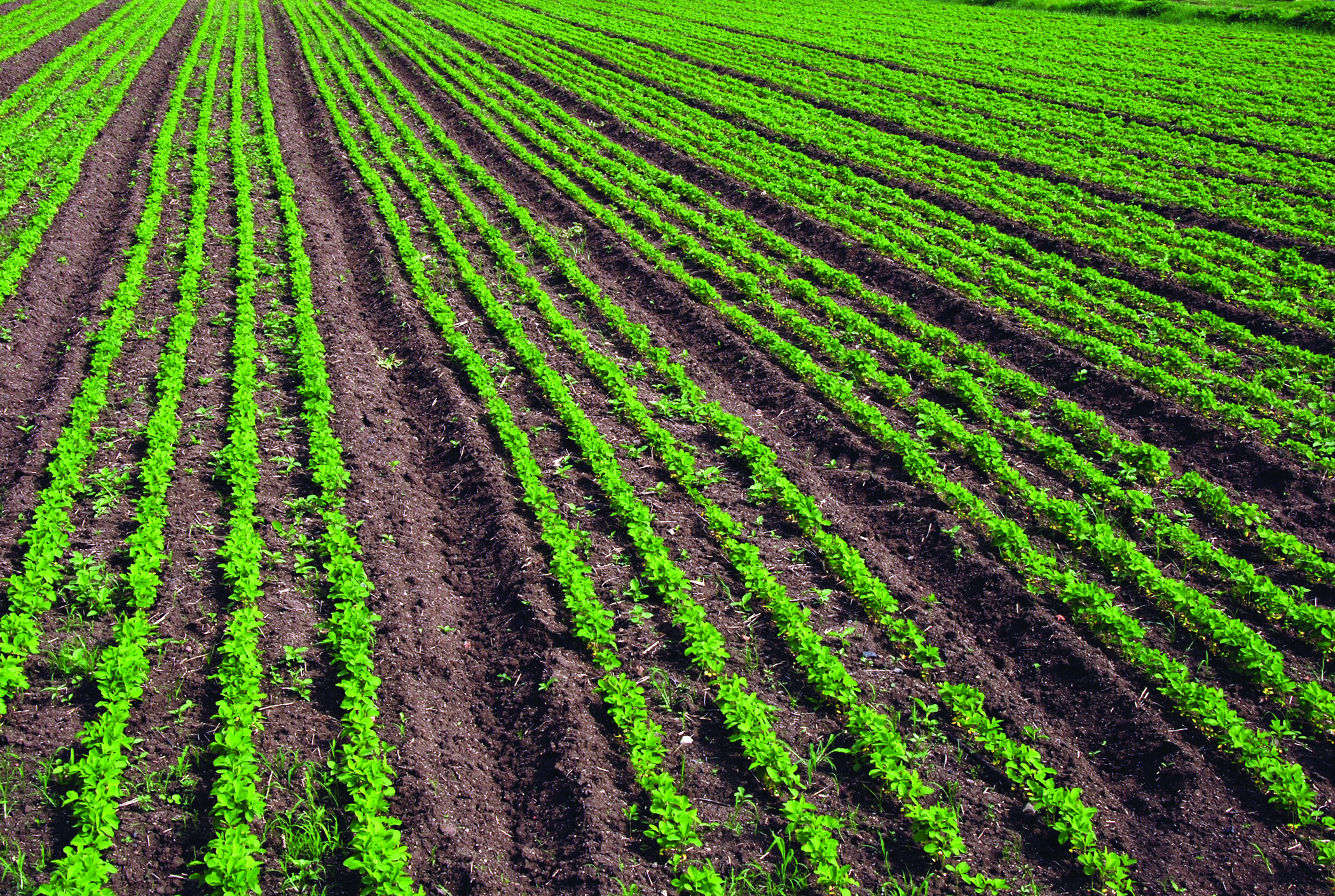 nutrient management practices