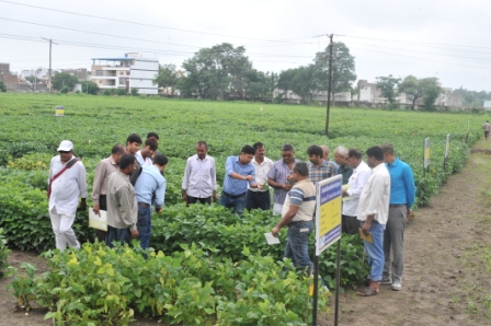 Training program on Improved Soybean Production Technologies