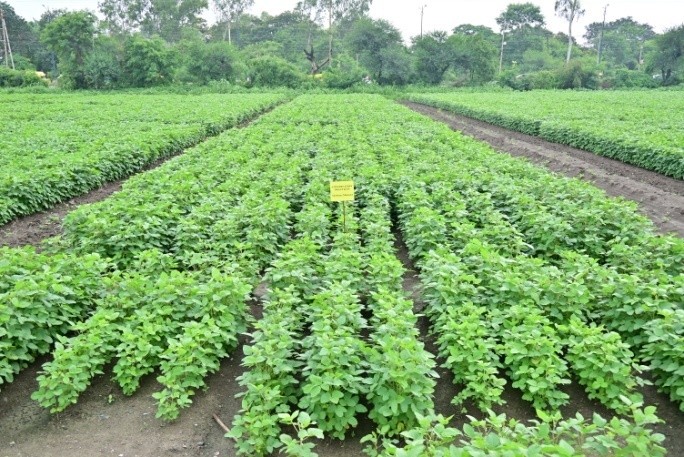 production technologies