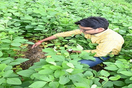 nutrient management practices