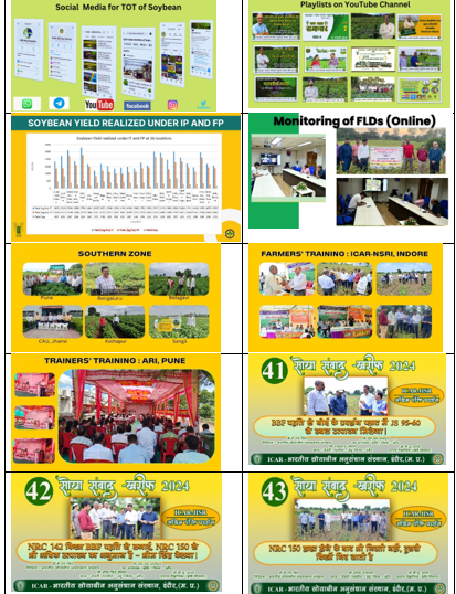 Uploads and Views Summary