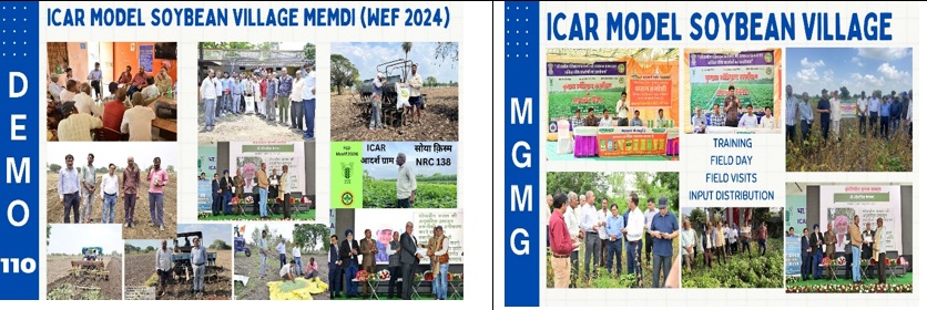 Uploads and Views Summary