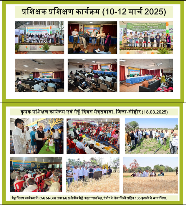 Uploads and Views Summary