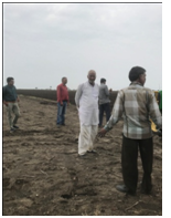 Hand Harvest demonstration