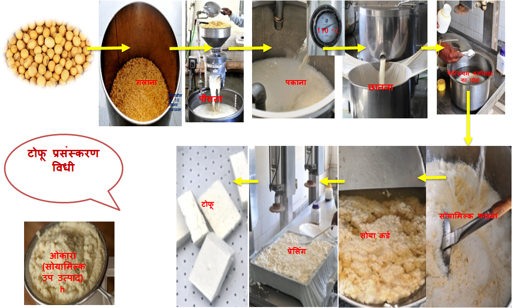 Tofu Processing Steps
