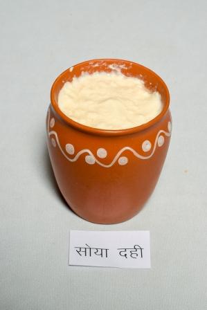 Soy Curd